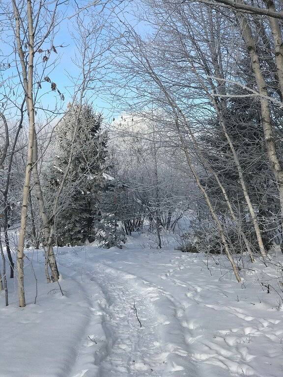 Barn for 7 people in Upper Peninsula of Michigan