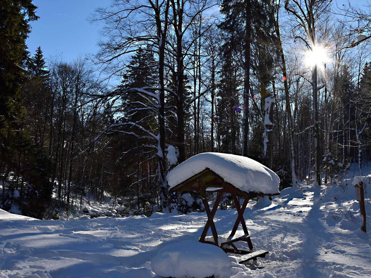 Ganze Ferienwohnung, Ferienwohnung Walpurga - Ferienwohnung Walpurga in Elend, Harzvorland