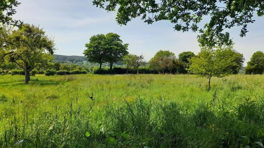 Location de vacances pour 9 personnes, avec jardin et vue, animaux acceptés à Carrouges - 2