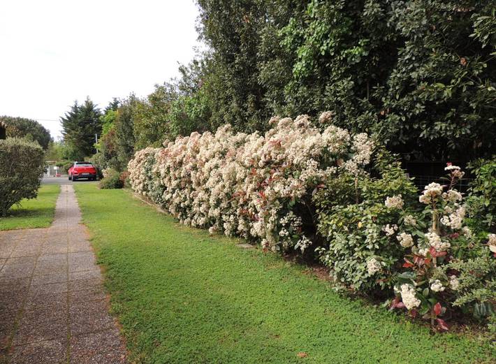 Chalet pour 2 personnes, avec jardin en Gironde - 3