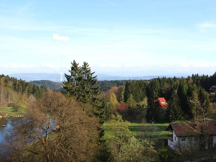 Ferienwohnung mit 2 Schlafzimmer in Dachsberg, Südschwarzwald