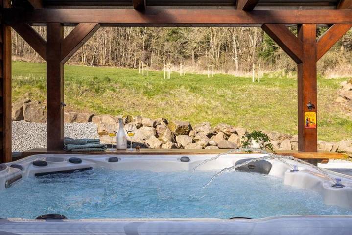 Villa mit pool für 12 Personen, mit Sauna und Whirlpool sowie Garten, mit Haustier in Deutschland - 4