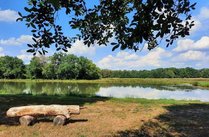 Location de vacances pour 2 personnes, avec vue ainsi que jardin et piscine à Brinon-sur-Sauldre - 2