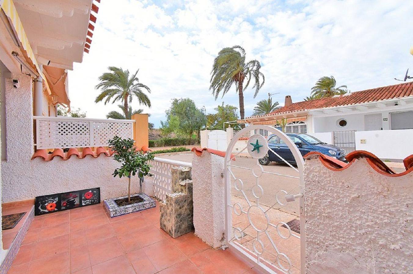 Palm tree 69 in Mar Menor, Costa Cálida