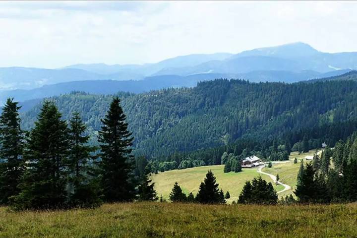 Camping für 6 Personen, mit Terrasse, mit Haustier in Baden-Württemberg - 3