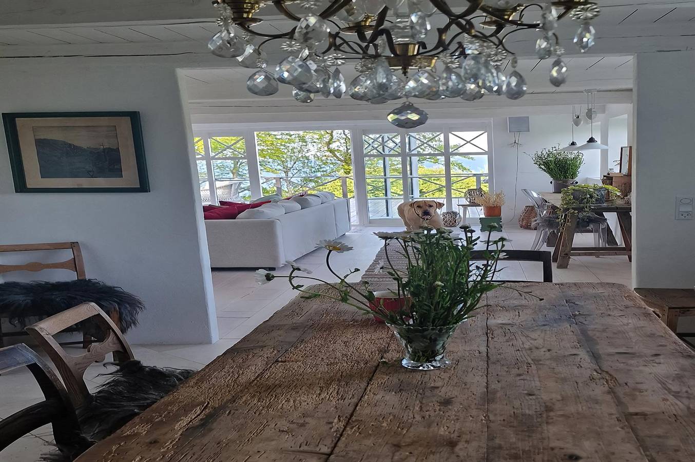 3 bedroom pet friendly home in Gudhjem in Gudhjem, Bornholm