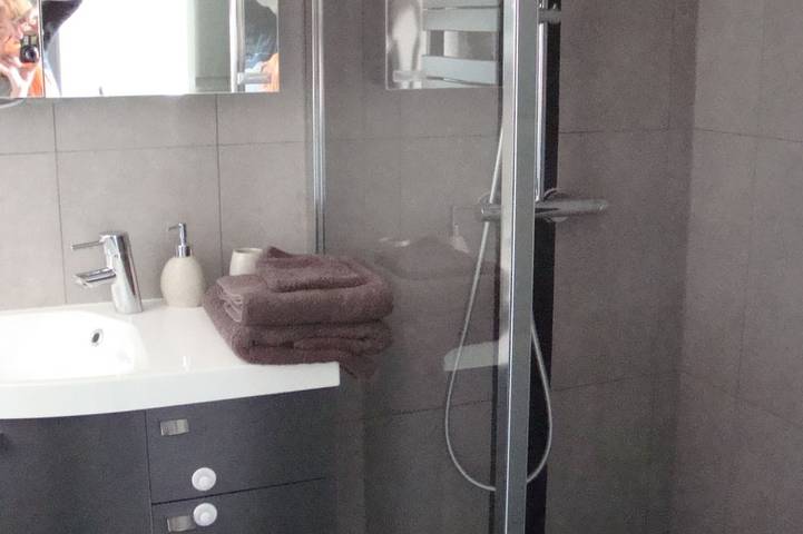Ganze Wohnung, Wohnung mit Terrasse 40m2 in Schlettstadt, Region Sélestat-Erstein