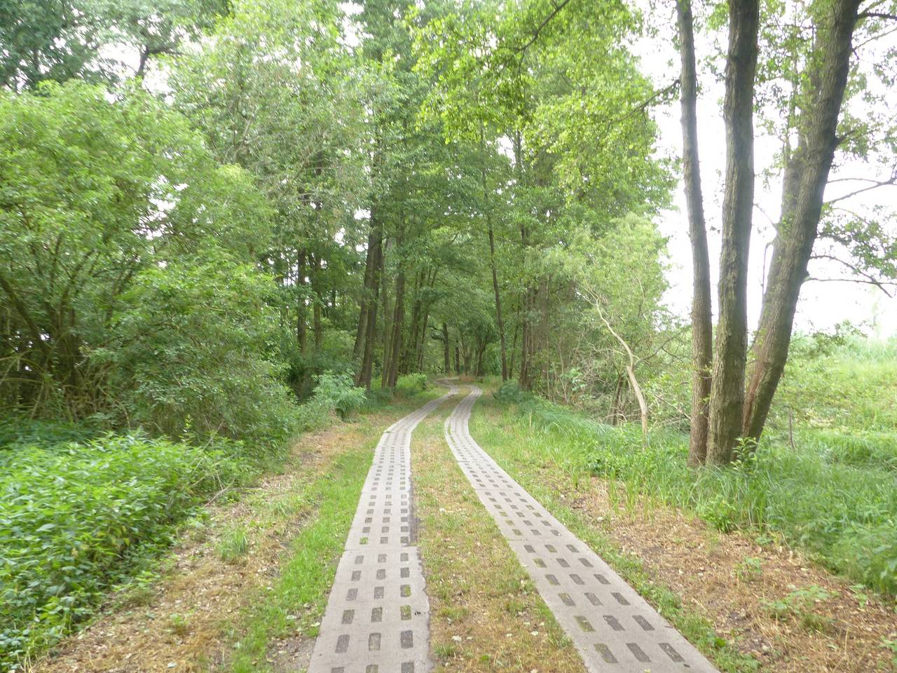 Vakantiehuis 'Jagdhaus Franz' met terras, foto 13