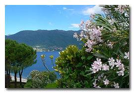 Entire apartment, Golfo Aranci in Porto Valtravaglia, Lago Maggiore (Lombardy)