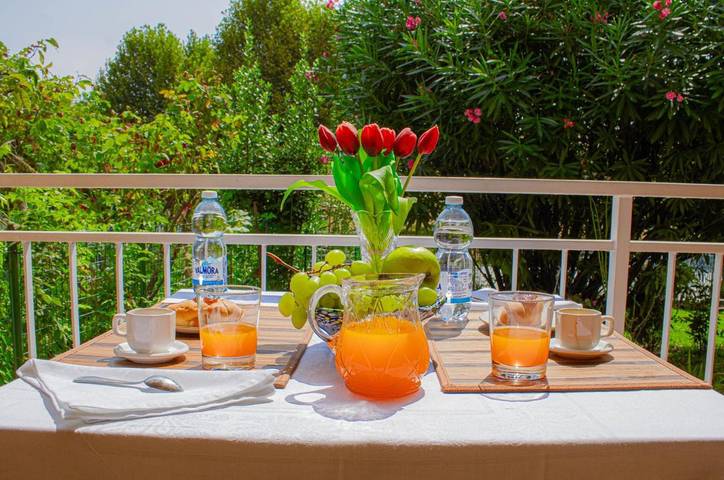 Location de vacances pour 6 personnes, avec vue et jardin, animaux acceptés à Moncalieri - 2