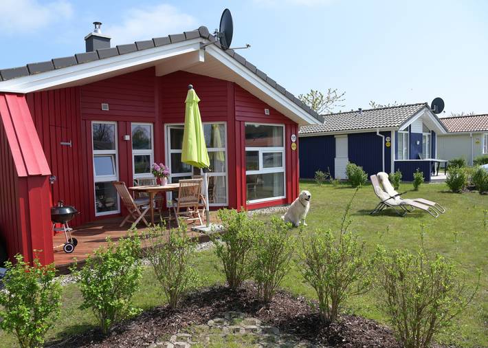 Ferienhaus für 4 Personen, mit Terrasse und Garten sowie Sauna, mit Haustier in Grömitz - 2