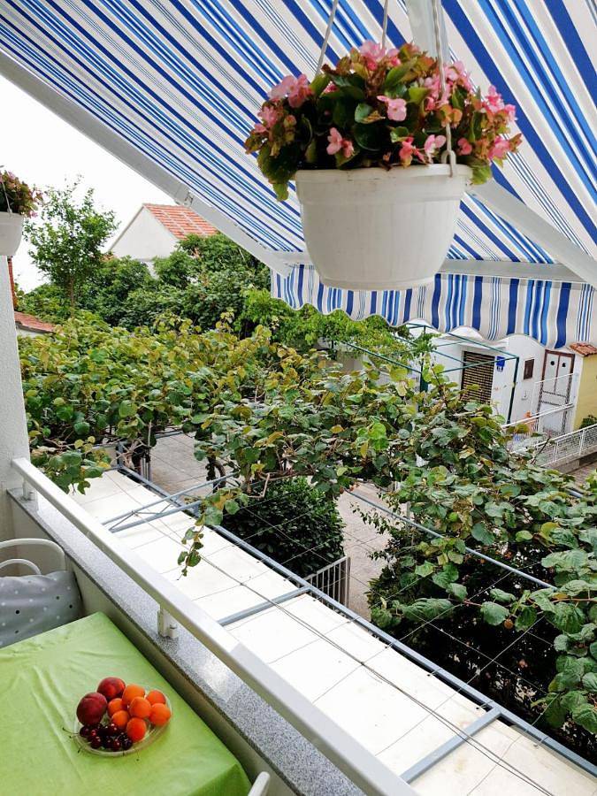 Maison d’hôte pour 9 personnes, avec Balcon et Jardin à Podaca