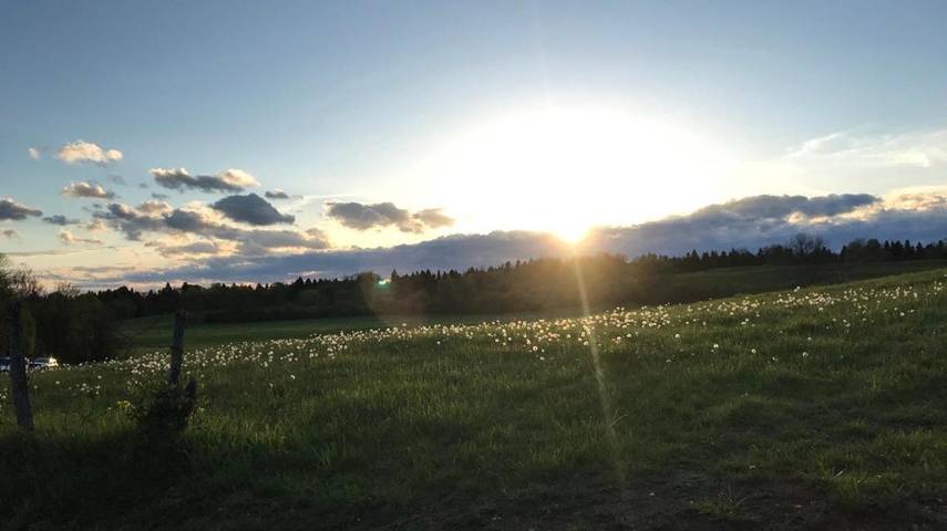 Station pour 2 personnes, avec terrasse à Montigny-sur-l'Ain - 2
