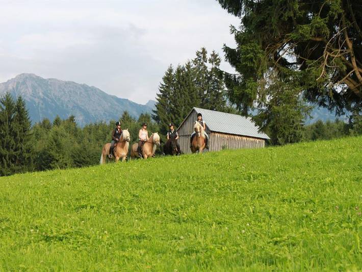 Ferienwohnung für 4 Personen, mit Garten in Obermaiselstein - 2