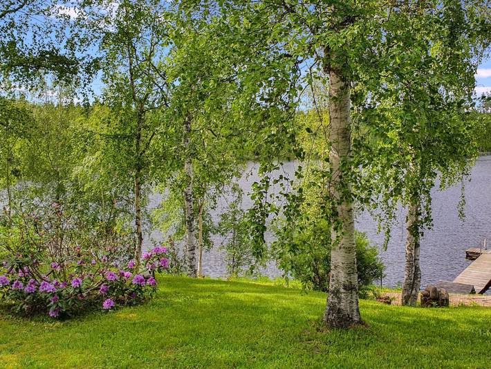 Rinne-expertti in Ruokolahti, Südkarelien