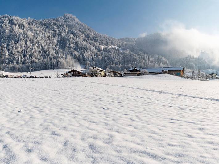 Ferienhaus für 20 Personen, mit Garten und Sauna, mit Haustier in SkiWelt Wilder Kaiser - Brixental - 3