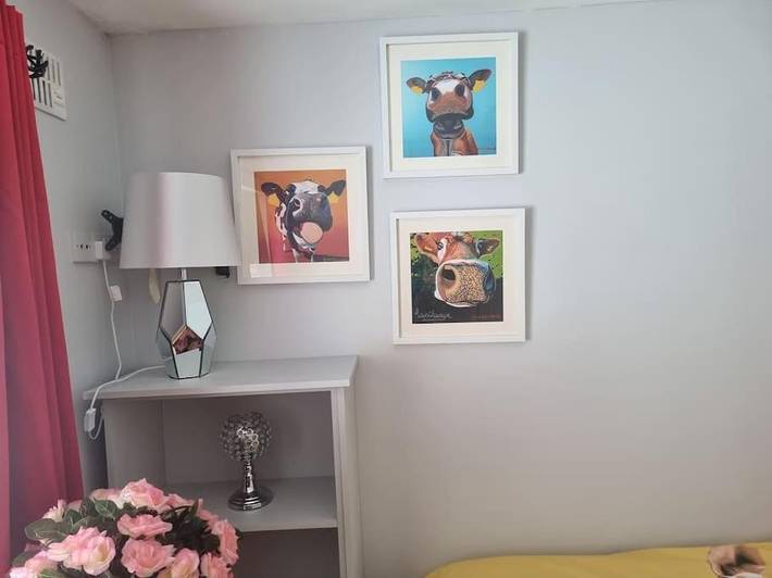 Gîte pour 8 personnes, avec terrasse, animaux acceptés à Waterford (Irlande) - 4