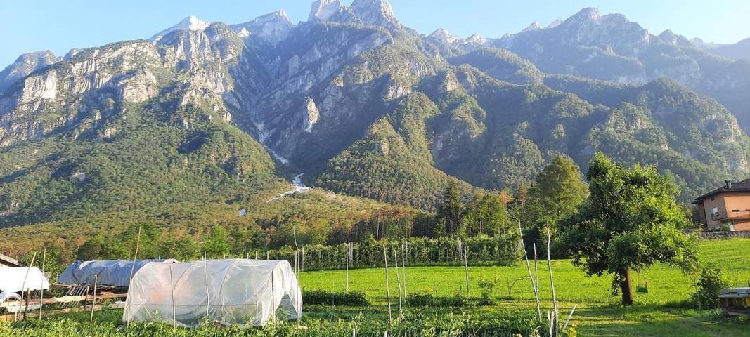 B&b per 2 persone, con Balcone e Terrazza nonché Giardino e Panorama in Valsugana