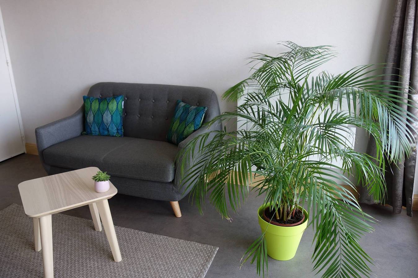Appartement entier, Appartement Superbe Vue Mer avec balcon, Wifi, à Tregastel in Trégastel, Côte de Granit Rose