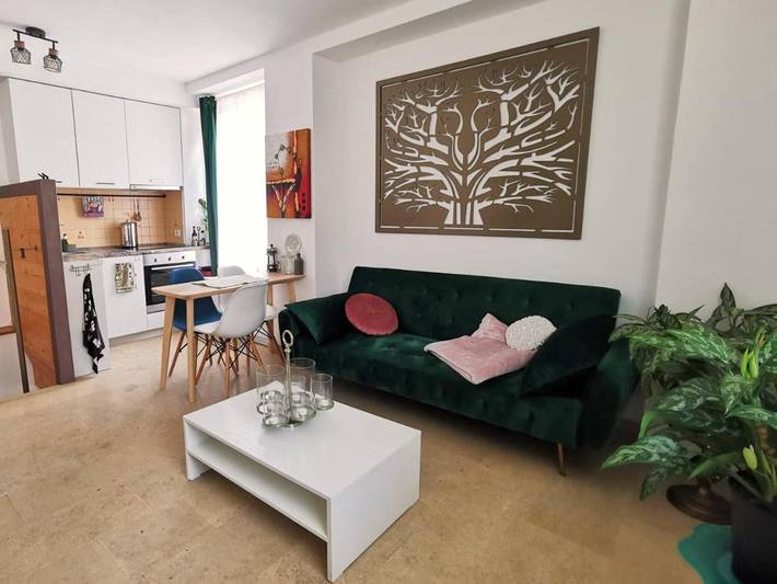 Apartament wakacyjny dla 3 osób, z ogród, zwierzęta dozwolone w Kluż-Napoka