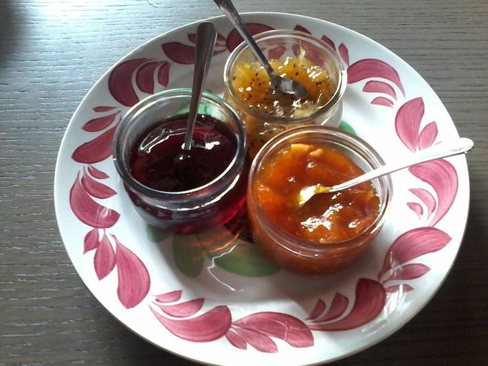 Chambre d’hôte pour 2 personnes, avec jardin et piscine au Parc Naturel Régional du Marais poitevin - 4