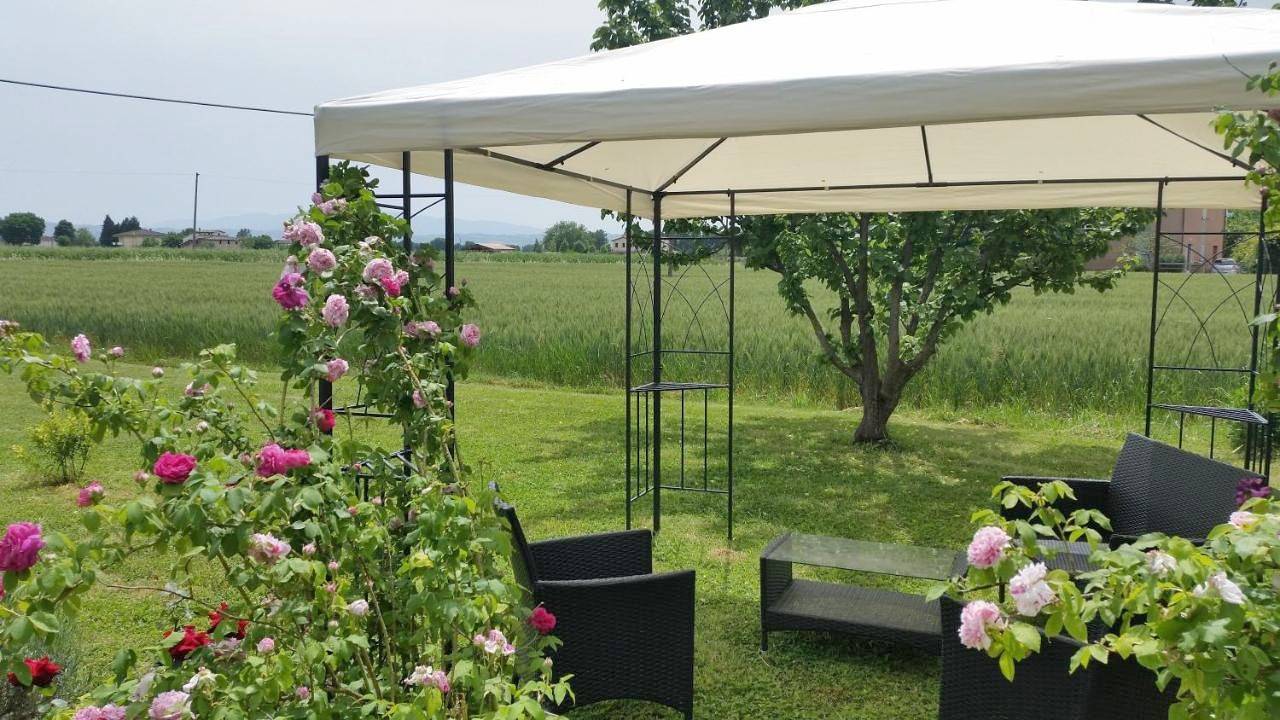 B&B Le Rose in Spello, Perugia e dintorni