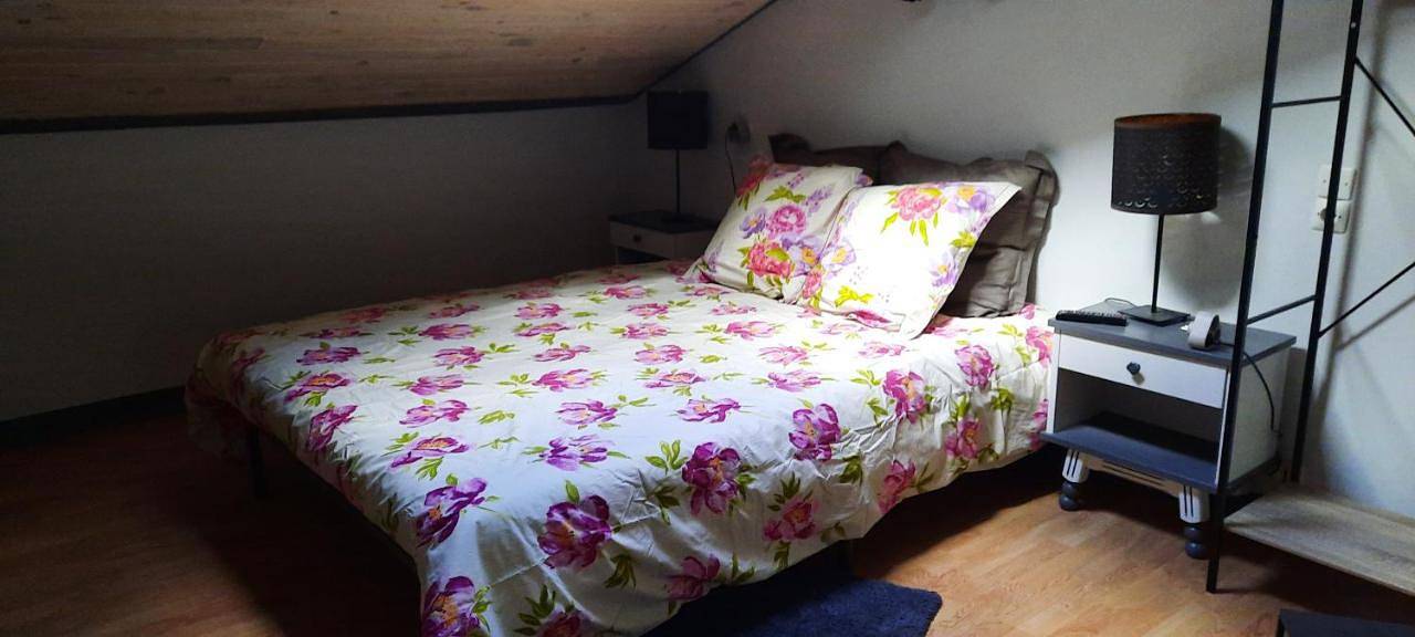 Appartement entier, One-Bedroom Apartment in Le Puy-en-Velay, Haute-Loire