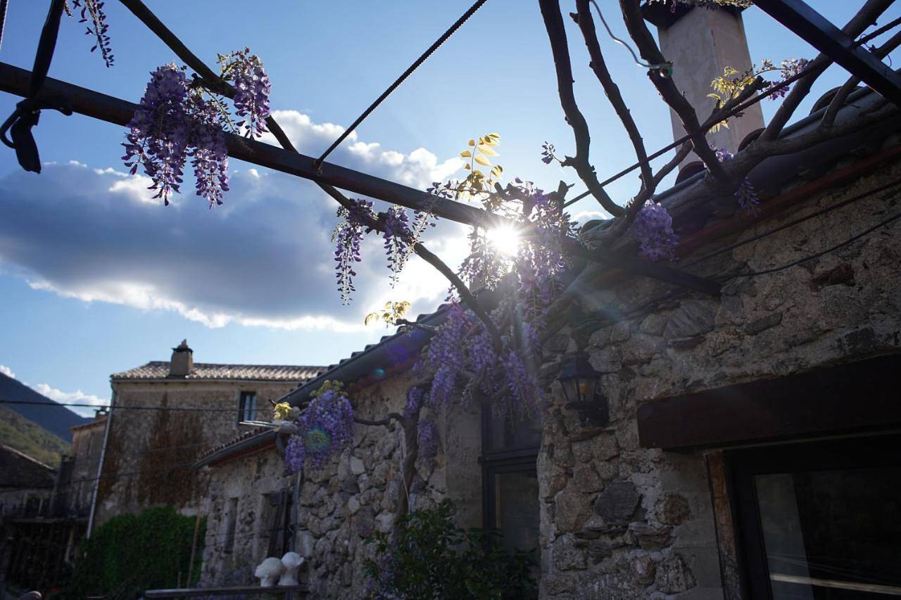 Three-Bedroom House in Val-d'Aigoual, Parc national des Cévennes