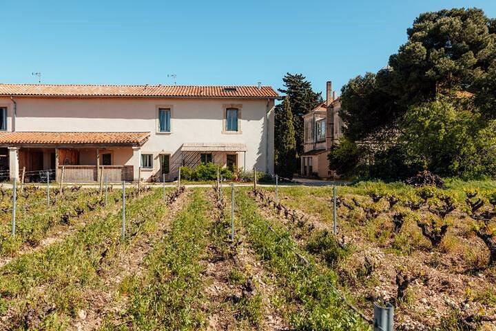 Ganze Wohnung, Charmantes Haus in einem Bio-Weingut in Frontignan, Côte d'Améthyste