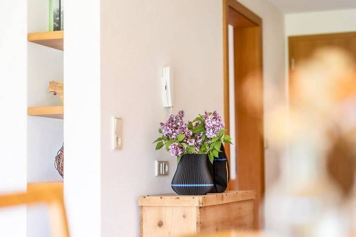 Ferienwohnung für 2 Personen, mit Whirlpool und Garten sowie Sauna und Balkon in Bizau