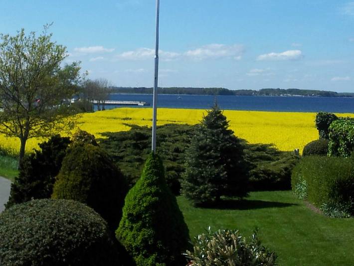 Ferienwohnung für 2 Personen, mit Garten, mit Haustier in Geltinger Bucht - 4
