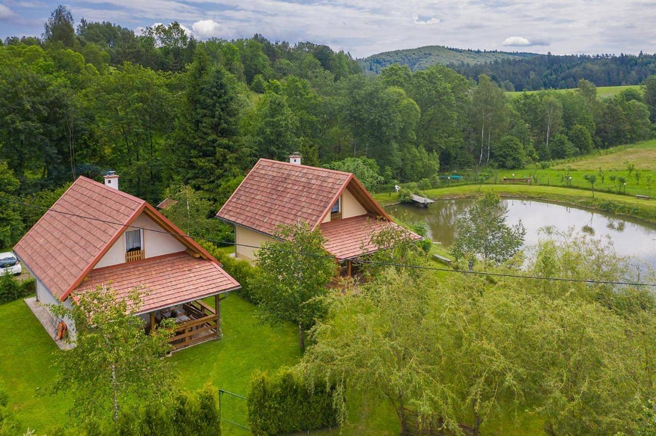Small Double Room in Karpaty (Polska)