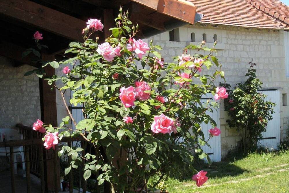Cottage Touraine zwischen Chinon und Richelieu voll klimatisiert in Assay, Regionaler Naturpark Loire-Anjou-Touraine