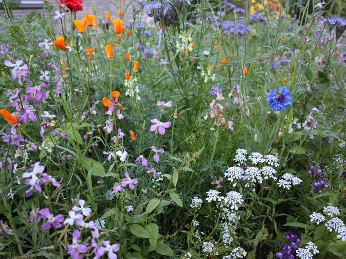 Ferienwohnung für 2 Personen, mit Balkon/Terrasse und Terrasse sowie Meerblick in Zwischenahner Meer - 3