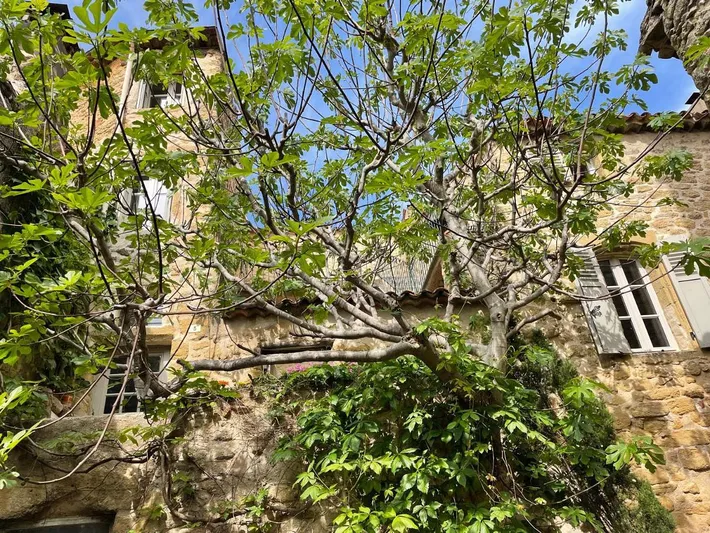 Casa de vacaciones para 6 personas, con jardín y vistas, Se admiten mascotas - 1