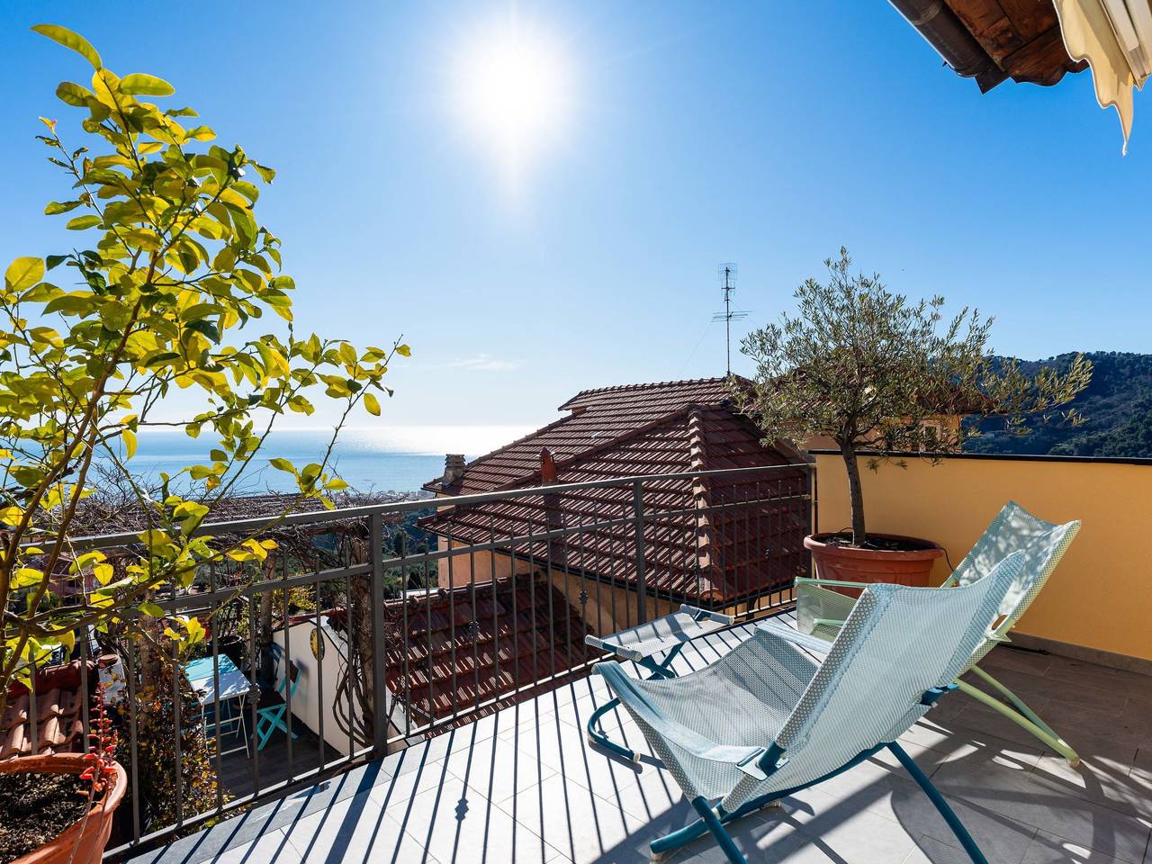 Terrazza con glicine in Moglio, Alassio