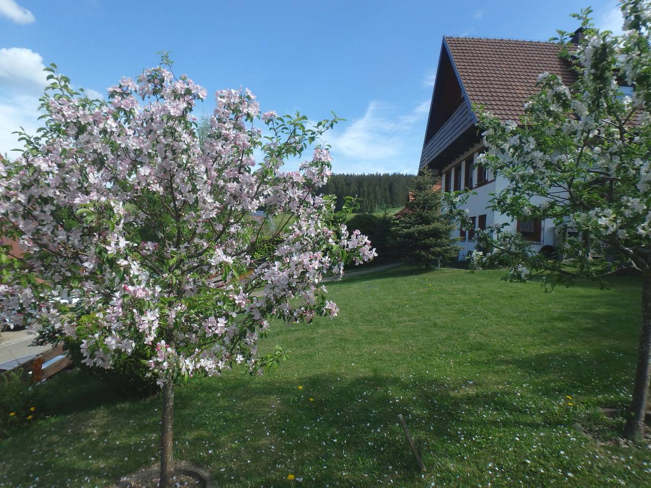 Ganze Wohnung, Ferienwohnung '3-zi-fewo' mit gemeinsamer Terrasse, gemeinsamem Garten und Wi-Fi in St. Märgen, Südschwarzwald