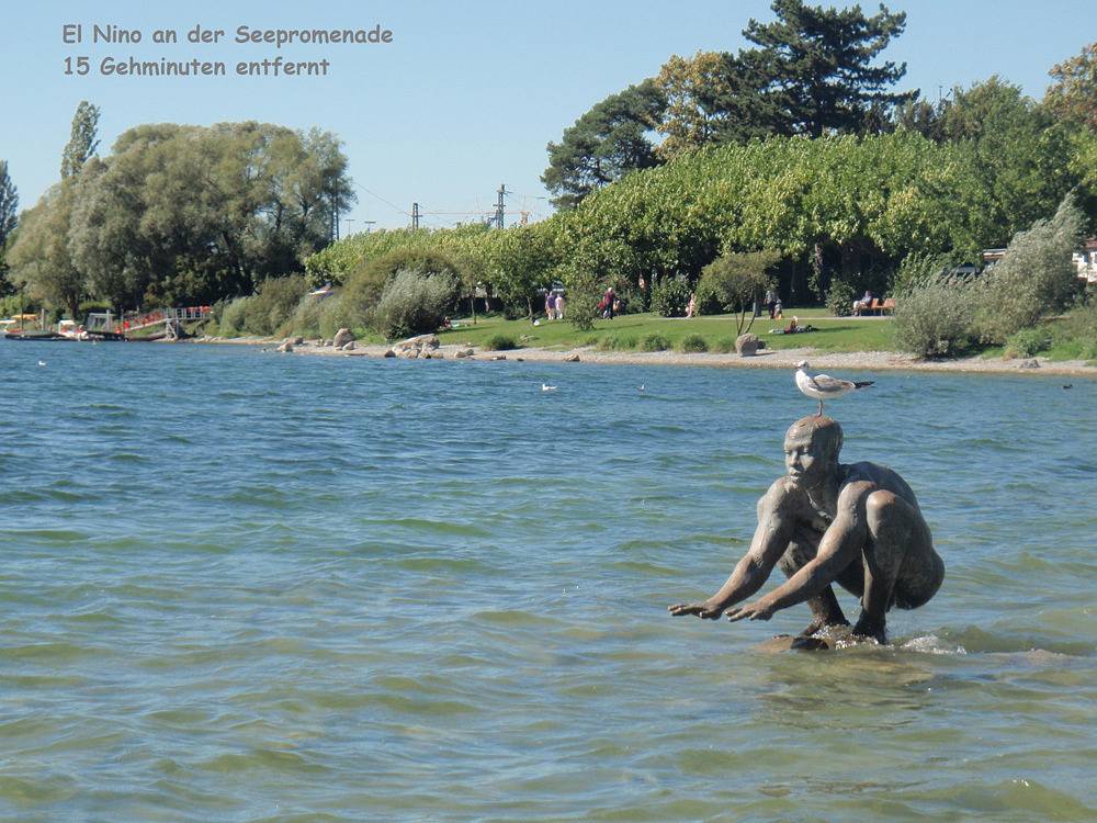 Ganze Ferienwohnung, Ferienwohnungen Familie Bill - 1-Zimmer-Fewo, Dg, 40 m² in Radolfzell, Radolfzell am Bodensee