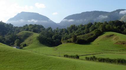 Gîte pour 5 personnes, avec jardin en Pyrénées-Atlantiques
