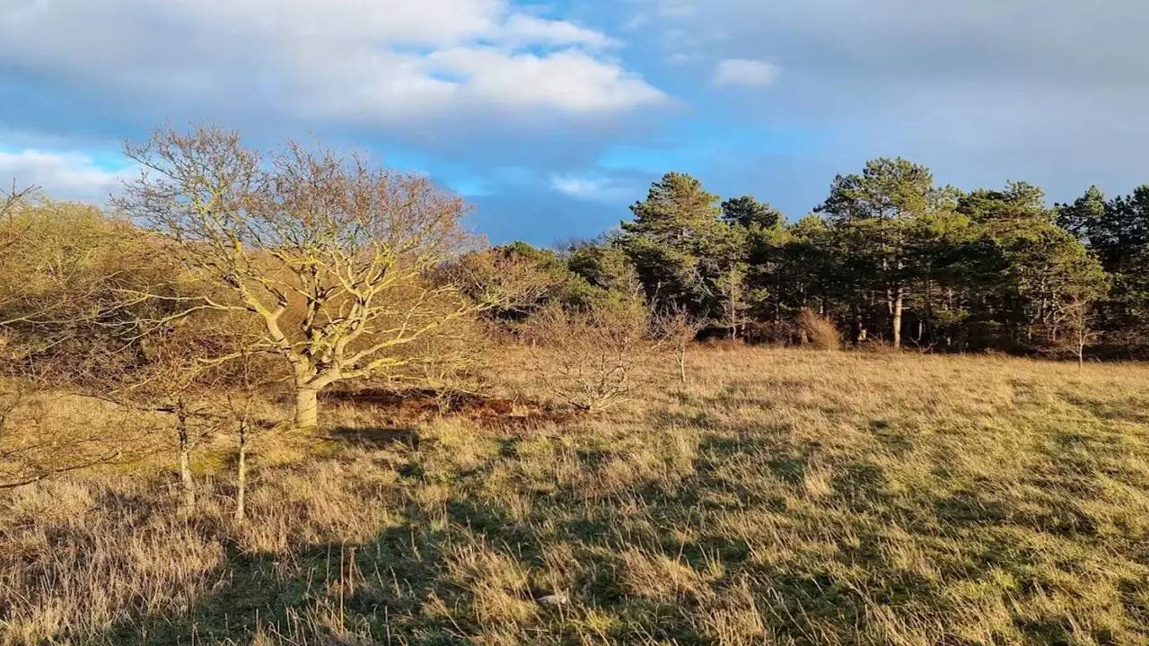 Ferienhaus für 4 Personen (41 m²) in Martofte in Langø, Martofte