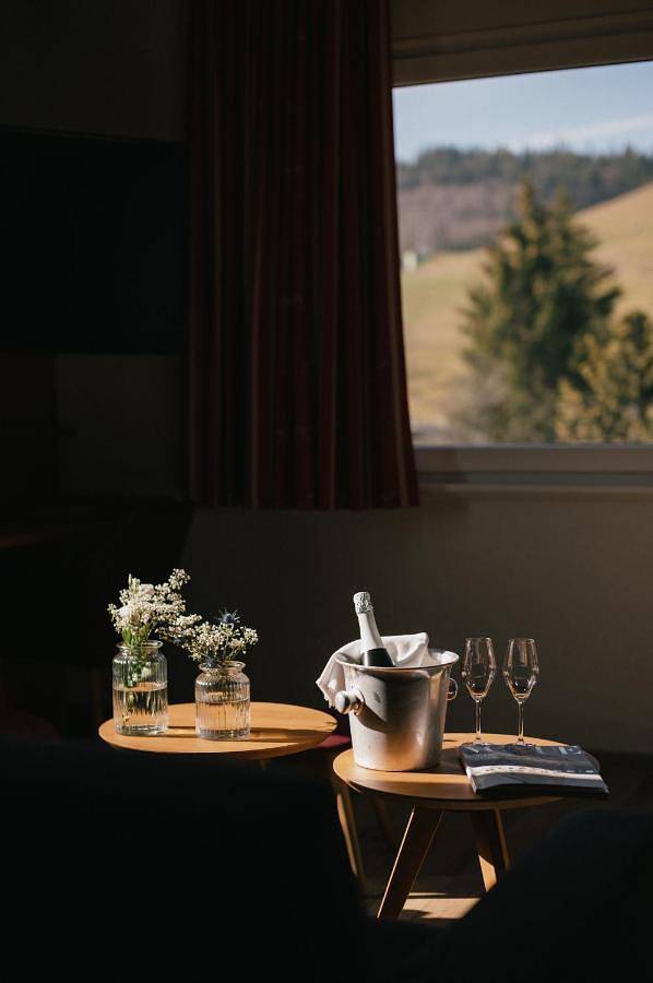 Hotel für 2 Personen, mit Terrasse und Garten sowie Pool und Sauna in Wieden - 2
