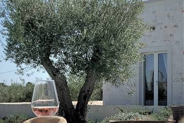 Agriturismo per 8 Persone in Martina Franca, Valle D'Itria, Foto 4