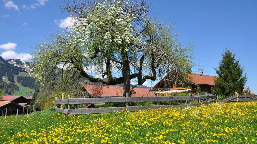 Ferienwohnung für 4 Personen, mit Garten in Obermaiselstein - 2