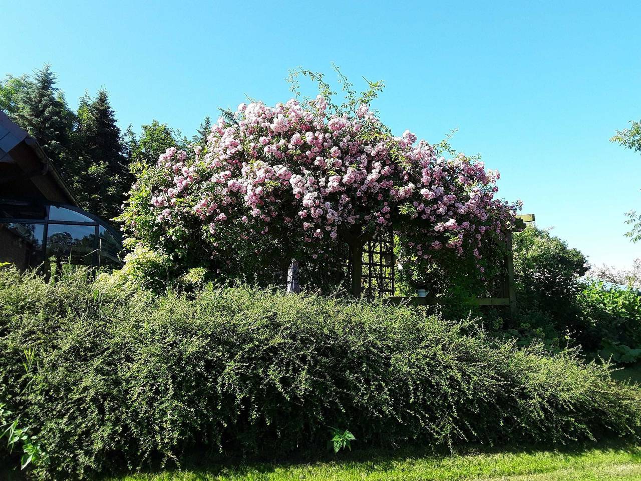 Ferienwohnung am Hufegraben - Ferienwohnung in Grabowhöfe, Mecklenburgische Seenplatte