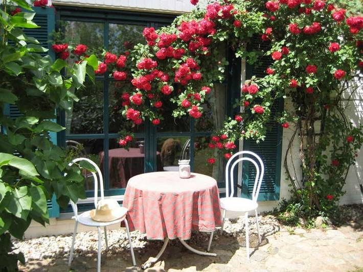 Ferienwohnung für 2 Personen, mit Terrasse und Garten in Penzlin - 4