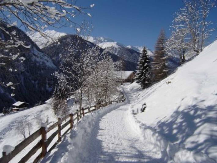 Ferienhaus für 4 Personen, mit Balkon, kinderfreundlich in Osttirol - 2
