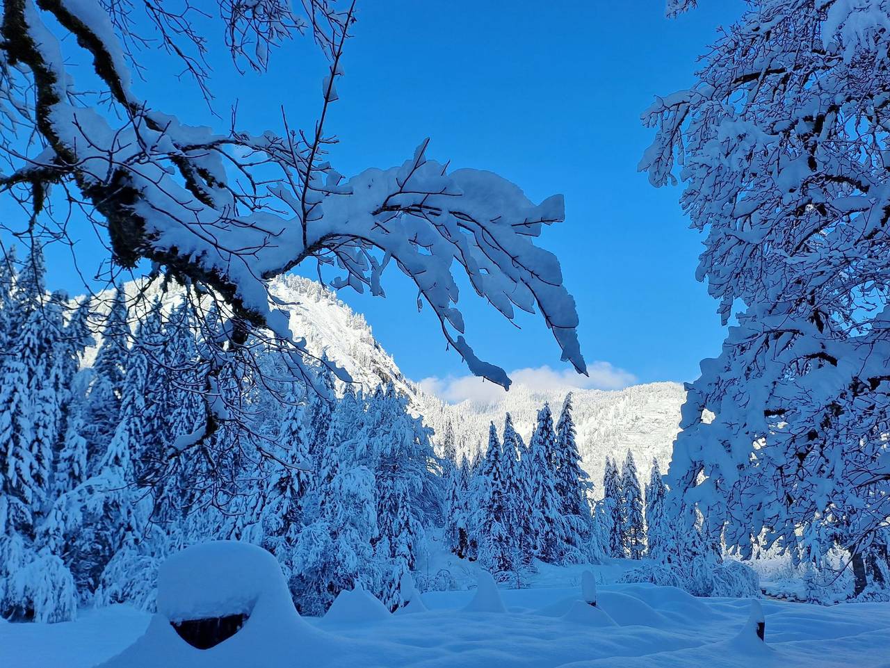 Ganze Ferienwohnung, Ferienwohnungen Nagel, Kreuth-Enterbach - Ferienwohnung 1 in Kreuth, Bayerische Alpen