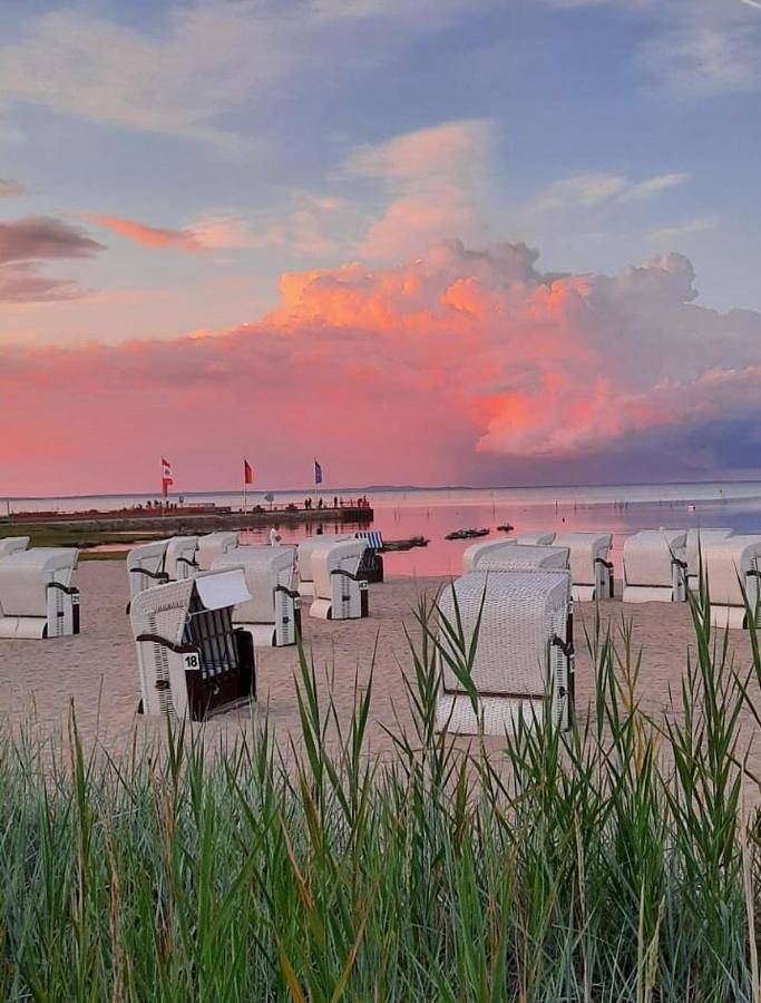 Ganze Wohnung, Ferienwohnung Sea in Vogelsang-Warsin, Vorpommern Greifswald