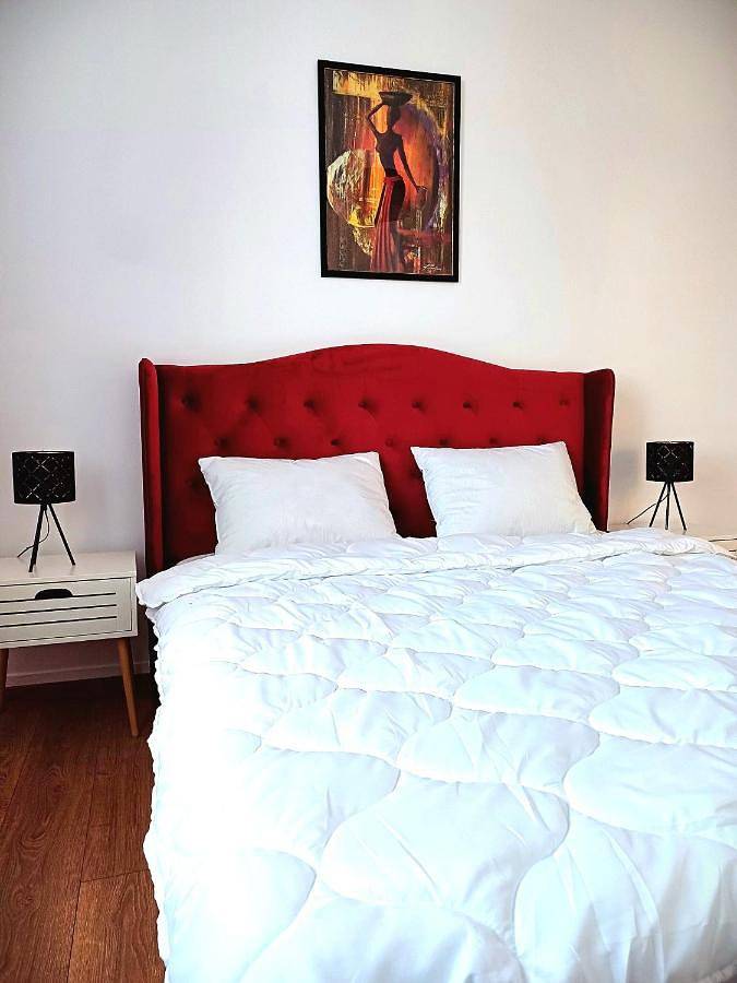 Gîte pour 6 personnes, avec jardin et vue, animaux acceptés dans Cluj-Napoca