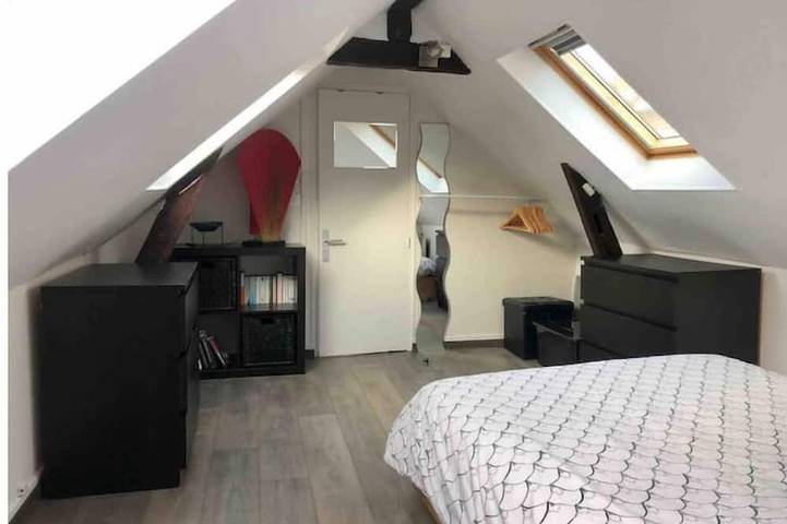 Appartement entier, Duplex Cosy Myfontainebleau Hyper Centre in Fontainebleau, Seine-et-Marne